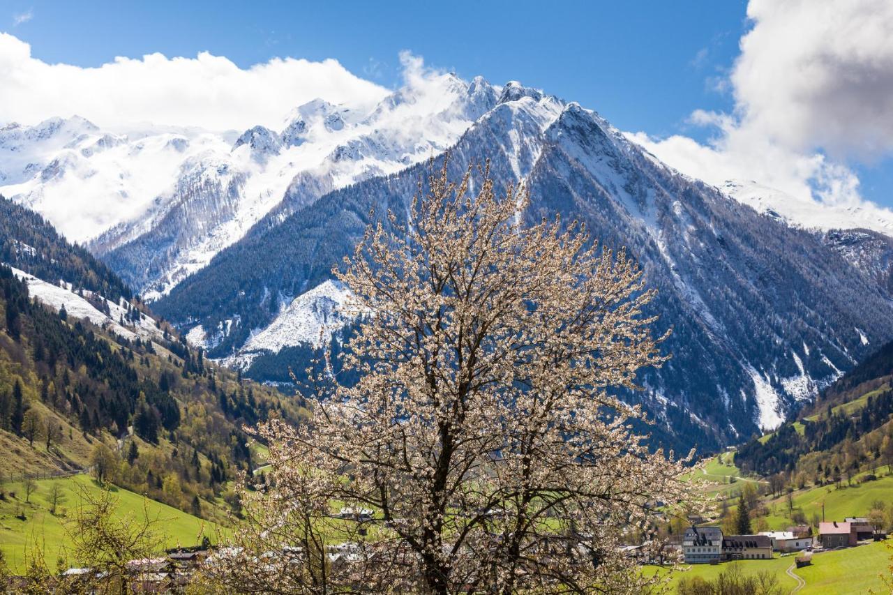 Wasserfall - Including Summercard